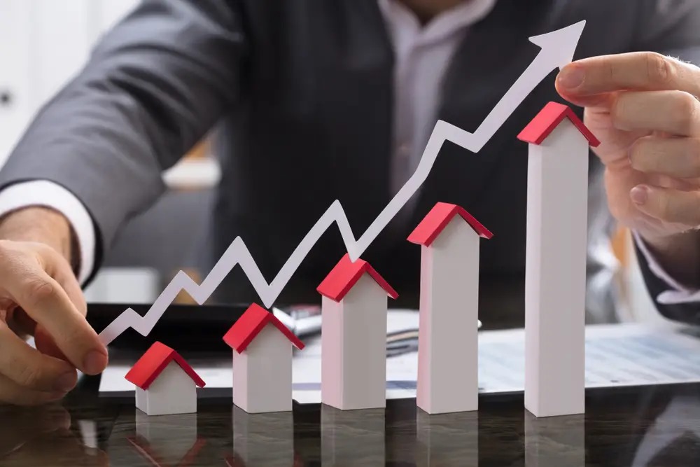 Maximize Your Visibility